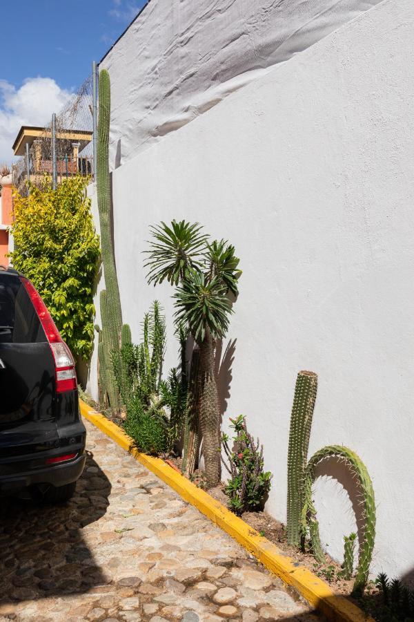 Апартаменти Siento Oaxaca Екстер'єр фото